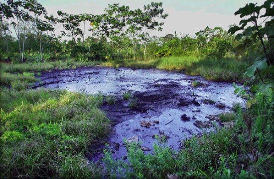 chevron-castiga-un-proces-de-miliarde-cu-justitia-din-ecuador-250262