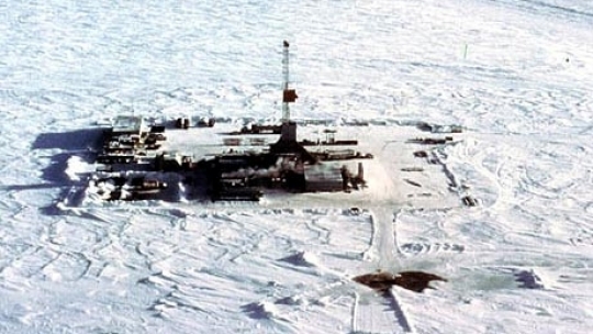 dorsala_lomonosov_195988001