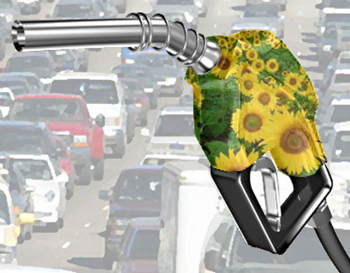 BioDiesel