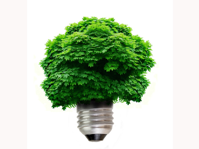 energie-verde-fotosinteza-shutterstock