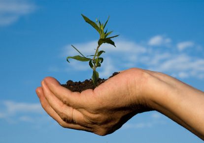 natura-ecologie